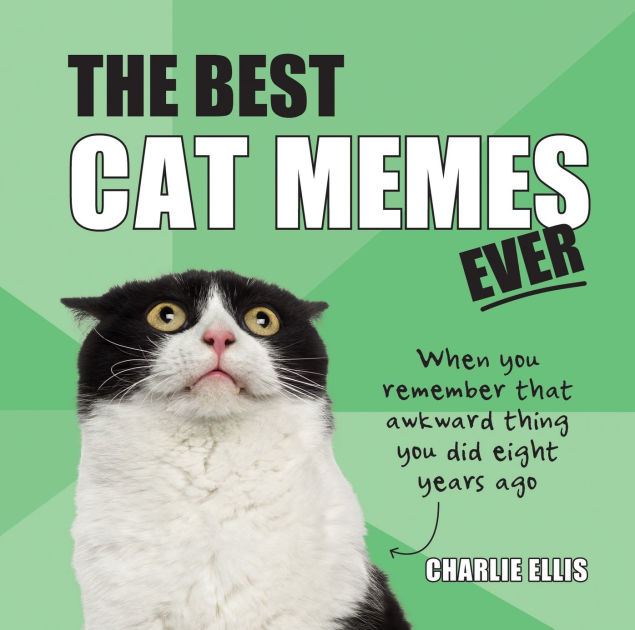 The Best Cat Memes Ever: The Funniest Relatable Memes as Told