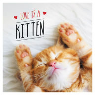 Title: Love is a Kitten: A Cat-Tastic Celebration of the World's Cutest Kittens, Author: Charlie Ellis