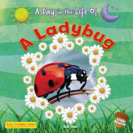 Title: A Ladybug, Author: Ruth Owen