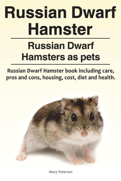 Russian Dwarf Russian Dwarf Hamsters as Russian