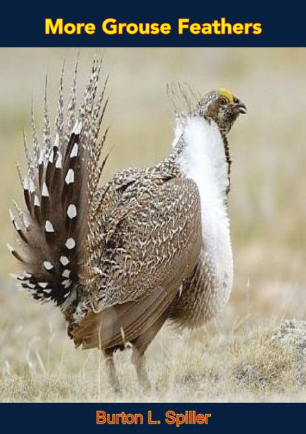 More Grouse Feathers by Burton L. Spiller eBook Barnes Noble