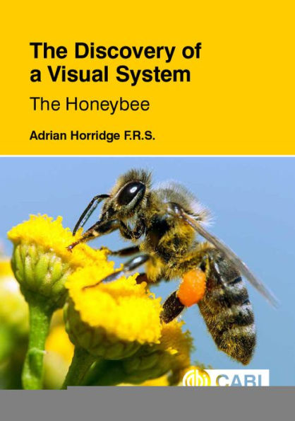 The Discovery of a Visual System - The Honeybee