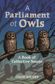 Title: A Parliament of Owls: A Book of Collective Nouns, Author: Chloe Rhodes