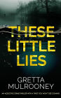 THESE LITTLE LIES an addictive crime thriller with a twist you won't see coming