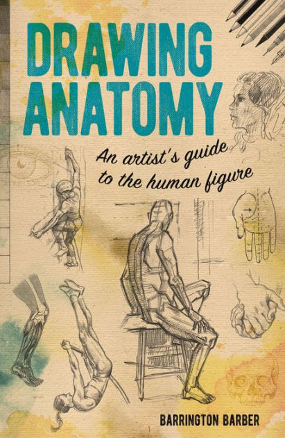 Drawing Anatomy An Artists Guide To The Human Figure By Barrington