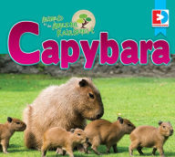 Title: Animals of the Amazon Rainforest: Capybara, Author: Katie Gillespie