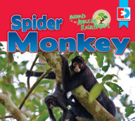 Title: Animals of the Amazon Rainforest: Spider Monkey, Author: Katie Gillespie