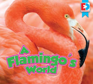 Title: A Flamingo's World, Author: John Willis
