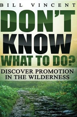 Don't Know What to Do?: Discover Promotion in the Wilderness