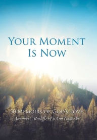 Title: Your Moment Is Now: Memoirs of God's Love, Author: Lu Ann Topovski