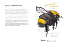 Alternative view 5 of OMFG, BEES!: Bees Are So Amazing and You're About to Find Out Why