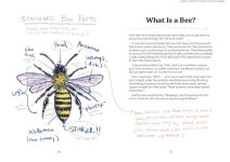 Alternative view 7 of OMFG, BEES!: Bees Are So Amazing and You're About to Find Out Why