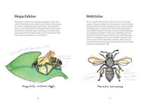 Alternative view 8 of OMFG, BEES!: Bees Are So Amazing and You're About to Find Out Why