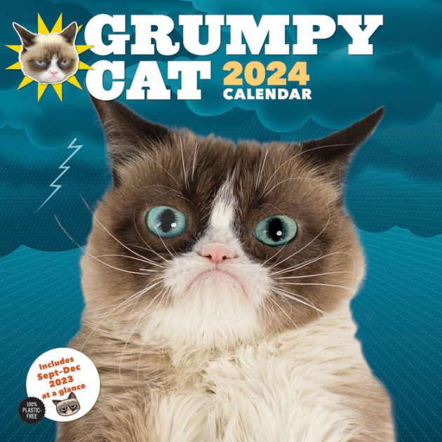 Grumpy Cat 2024 Wall Calendar by Grumpy Cat Barnes & Noble®