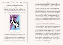 Alternative view 3 of The Little Witch's Oracle Deck: Symbols, Spells, and Rituals for the Young Witch