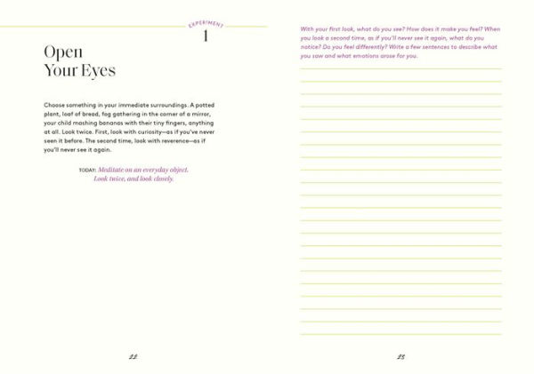 Awestruck: 52 Experiments to Find Wonder, Joy, and Meaning in Everyday Life-A Yearlong Journal