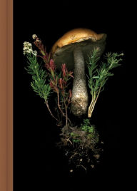 Title: Deep Dark Forest Mushroom Journal, Author: Julya Hajnoczky