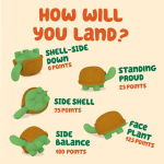 Alternative view 2 of Tortoise Tumble