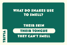 Alternative view 9 of Let's Go! Road Trip: Games, Jokes & Trivia