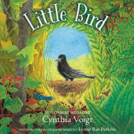 Title: Little Bird, Author: Cynthia Voigt