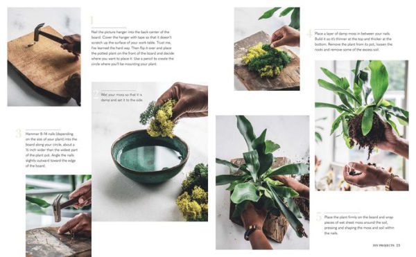 Wild Creations: Inspiring Projects to Create plus Plant Care Tips & Styling Ideas for Your Own Wild Interior