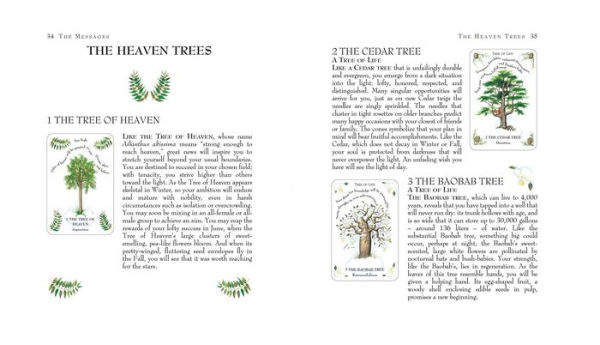 The Tree Magick Oracle Deck: Includes 52 cards and a 64-page illustrated book