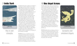 Alternative view 4 of Unusual Animal Messages Oracle Deck: Includes 52 cards and a 64-page illustrated book