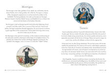 Alternative view 8 of Celtic Symbols: Unlock ancient wisdom and connect with the spirit of the land