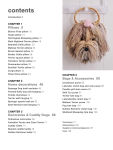 Alternative view 3 of Crocheted Dogs: 35 projects to make: Cute canine patterns for pillows, bags, accessories, and more