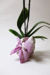 Alternative view 9 of Furoshiki: The Japanese art of wrapping with fabric