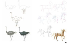 Alternative view 11 of Draw 100: Animals: From basic shapes to amazing drawings in super-easy steps