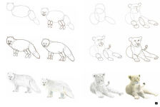 Alternative view 12 of Draw 100: Animals: From basic shapes to amazing drawings in super-easy steps