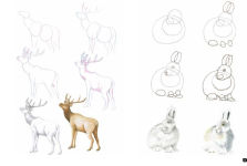 Alternative view 13 of Draw 100: Animals: From basic shapes to amazing drawings in super-easy steps
