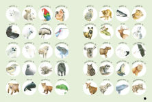 Alternative view 4 of Draw 100: Animals: From basic shapes to amazing drawings in super-easy steps