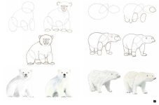 Alternative view 6 of Draw 100: Animals: From basic shapes to amazing drawings in super-easy steps