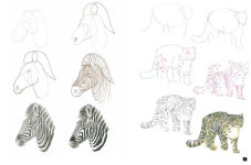 Alternative view 9 of Draw 100: Animals: From basic shapes to amazing drawings in super-easy steps