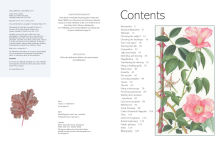Alternative view 2 of Kew Book of Botanical Illustration