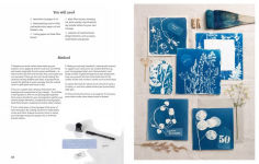 Alternative view 11 of Beginner's Guide to Cyanotype: Beautiful projects to print with light