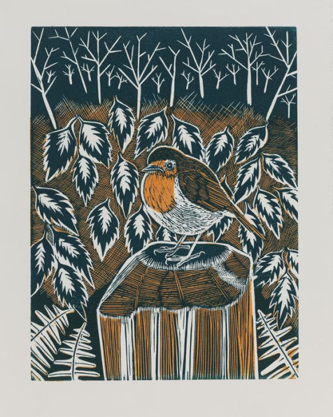 Nature Imprinted: A complete guide to lino printing, with 10 nature inspired designs