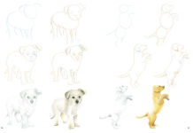 Alternative view 2 of How to Draw Puppies in Simple Steps