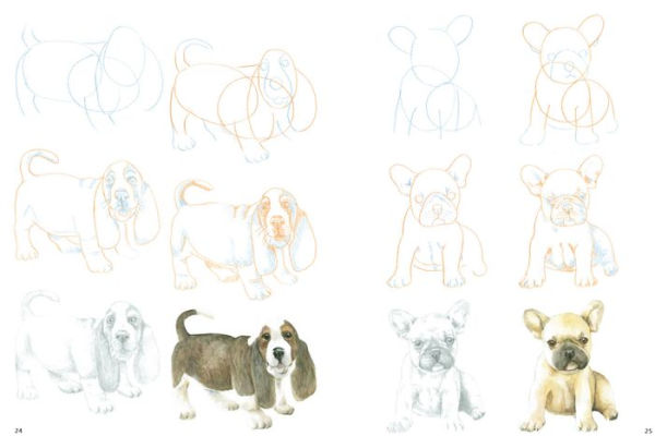 How to Draw Puppies in Simple Steps