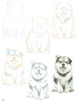 Alternative view 5 of How to Draw Puppies in Simple Steps