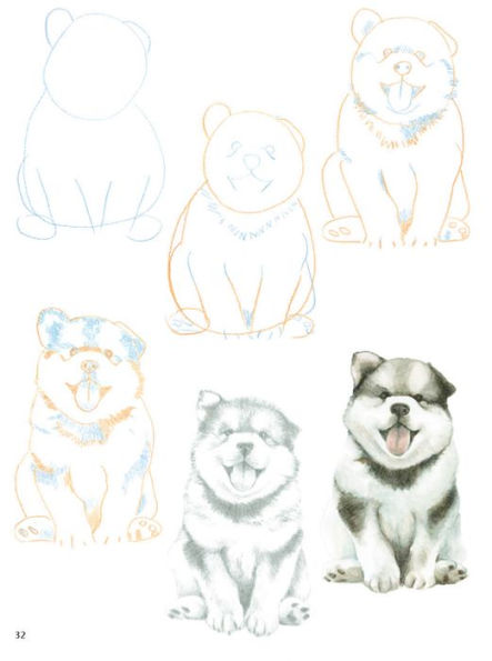 How to Draw Puppies in Simple Steps