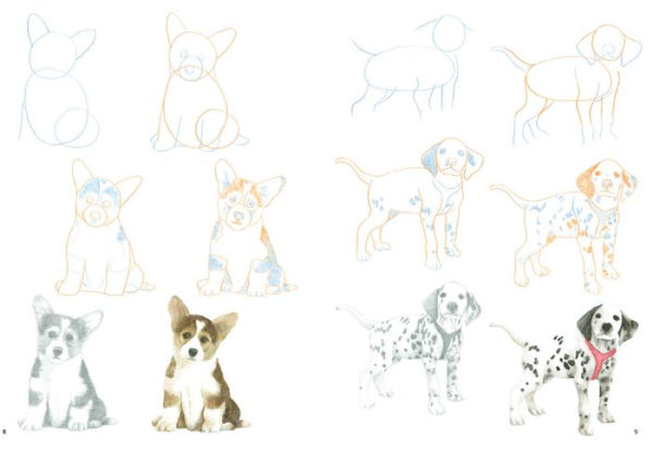 How to Draw Puppies in Simple Steps