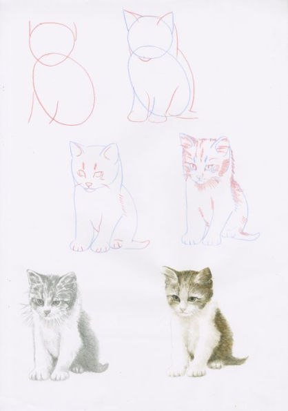 How to Draw Kittens in simple steps