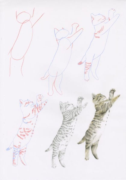 How to Draw Kittens in simple steps