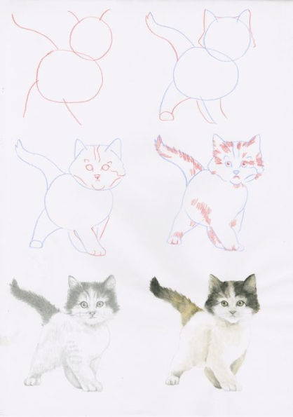 How to Draw Kittens in simple steps