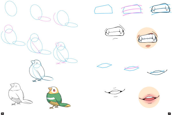 Draw 100: Manga: From basic shapes to amazing drawings in super-easy steps
