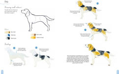 Alternative view 15 of Paint 50: Watercolour Animals: From basic shapes to amazing paintings in super-easy steps