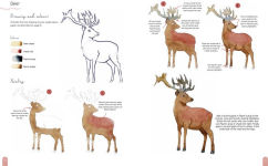 Alternative view 17 of Paint 50: Watercolour Animals: From basic shapes to amazing paintings in super-easy steps